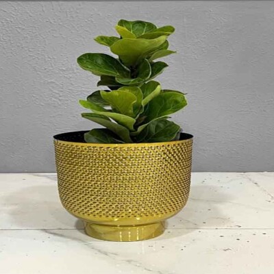 The Art Home Planters ITEM NO.723