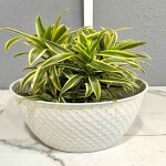 The Art Home Planters ITEM NO.735
