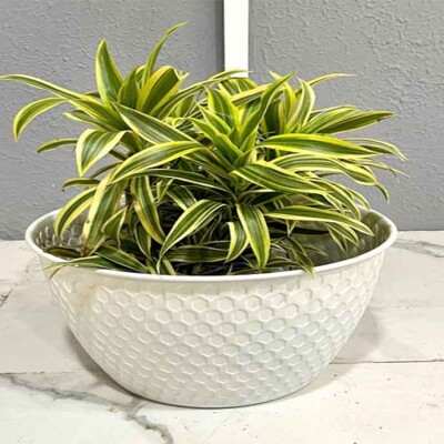 The Art Home Planters ITEM NO.735