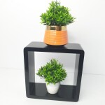 SL16 Green Artificial Plant (FC)