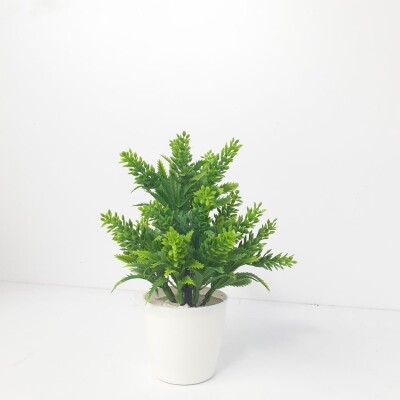 SL10 Small Anthoori Artificial Plant (FC)