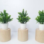 SL10 Small Anthoori Artificial Plant (FC)