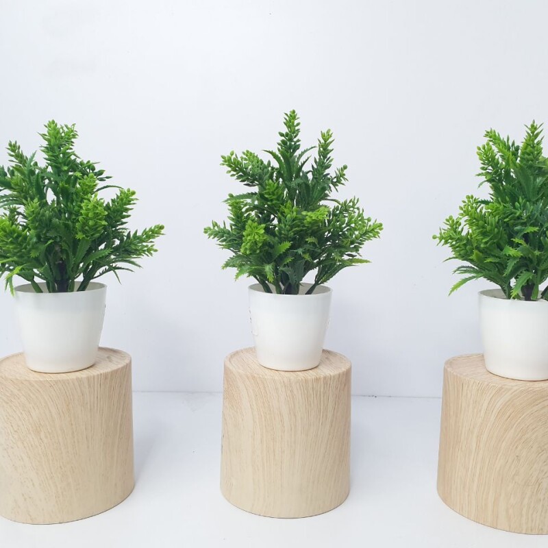 SL10 Small Anthoori Artificial Plant (FC)