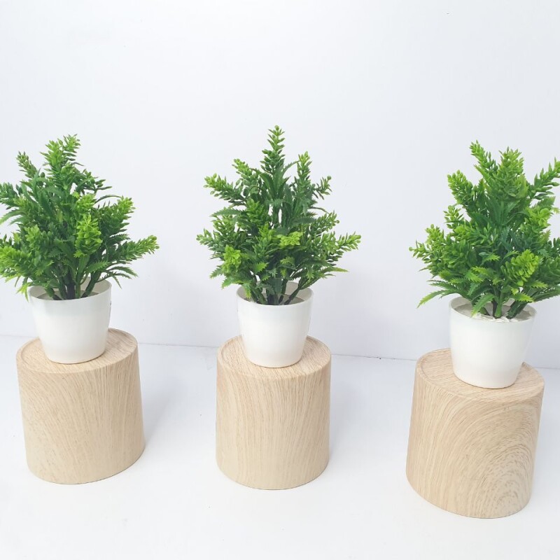 SL10 Small Anthoori Artificial Plant (FC)
