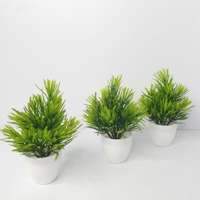 SL37 Aspres 2 Artificial Plant (FC)