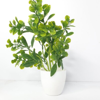 SL2 Kumini Leaf Artificial Plant (FC)