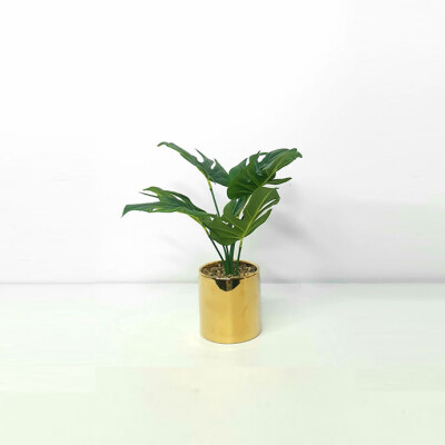 Artificial Plant A1 GM 87