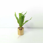 Artificial Plant A1 GM 85