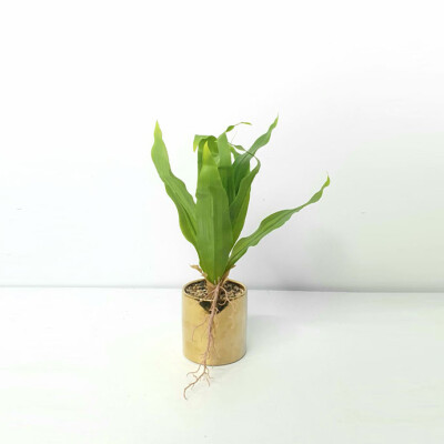Artificial Plant A1 GM 85