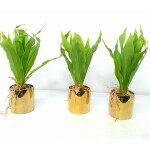 Artificial Plant A1 GM 85