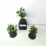 Artificial Plant A1 GM 72