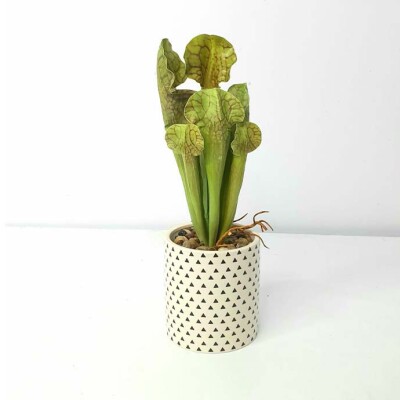 Artificial Plant A1 2627