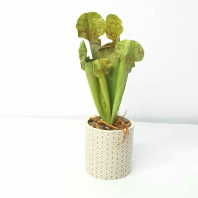 Artificial Plant A1 2627