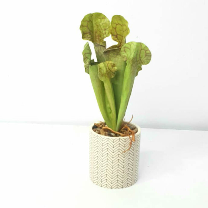 Artificial Plant A1 2627