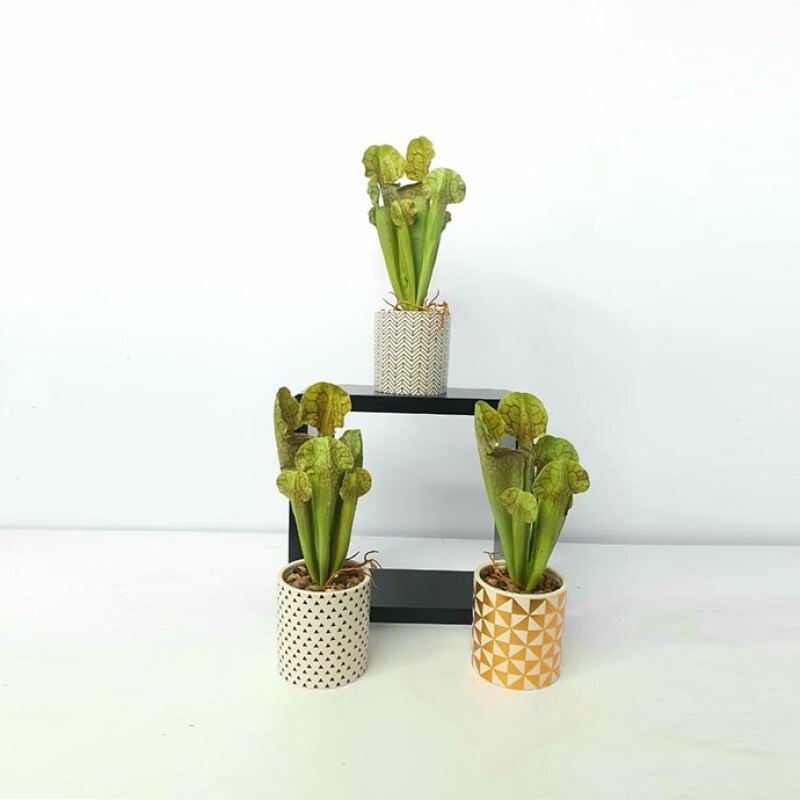 Artificial Plant A1 2627