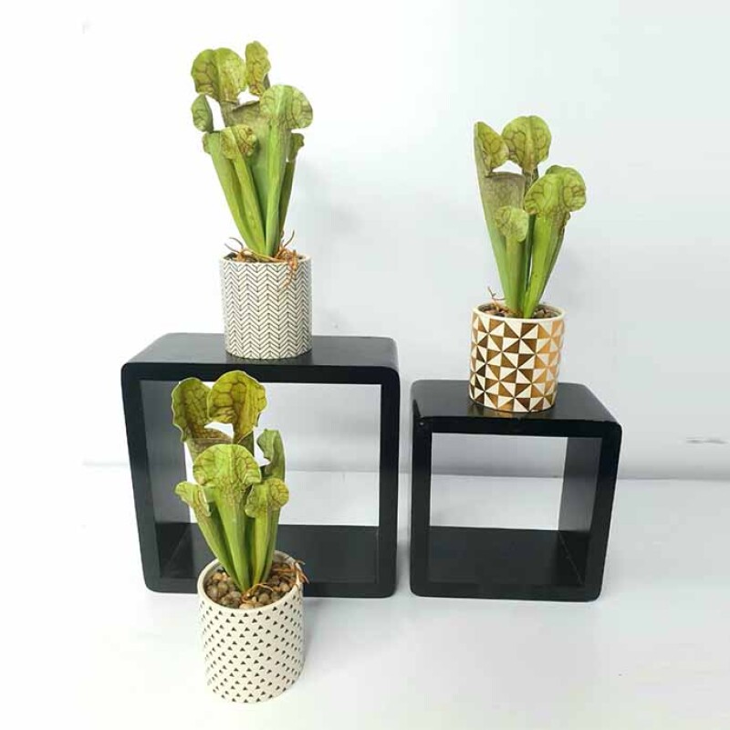 Artificial Plant A1 2627
