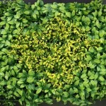Vertical Garden AG-1004