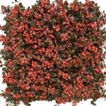 Vertical Garden AG-8015 R