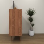 BH Premier Shoe Organizer