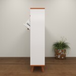 BH Engineered White Wooden Shoe Cabinet