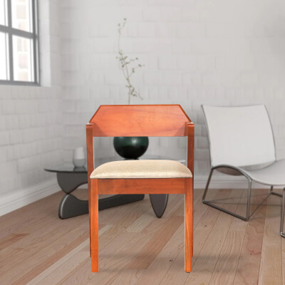 Dining Chair Xylo