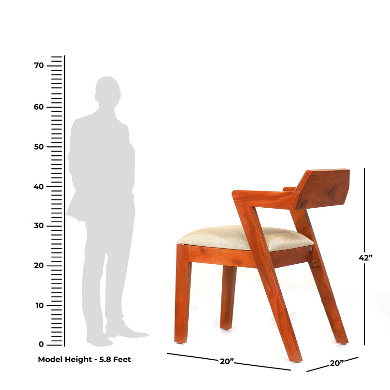Dining Chair Xylo