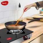 Pigeon - Glass Top 2 Burner Favourite