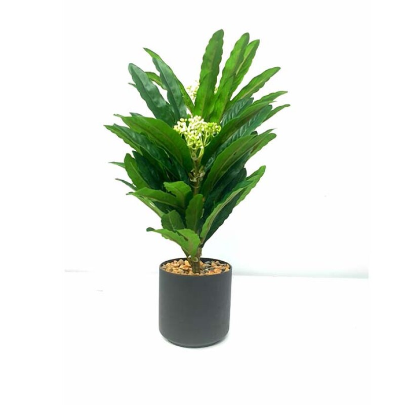 Artificial Plant FC 050
