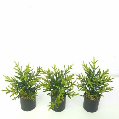 Artificial Plant A1 2603