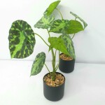 Artificial Plant FC 051