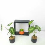 Artificial Plant FC 051