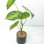 Artificial Plant FC 051