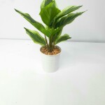 Artificial Plant A1 2405