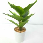 Artificial Plant A1 2405