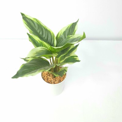 Artificial Plant A1 2405