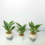 Artificial Plant A1 2405