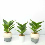 Artificial Plant A1 2405