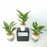 Artificial Plant A1 2405
