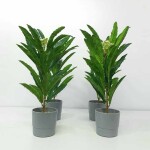 Artificial Plant FC 048