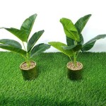 Artificial Plant A1 GM 86