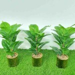 Artificial Plant A1 GM 80