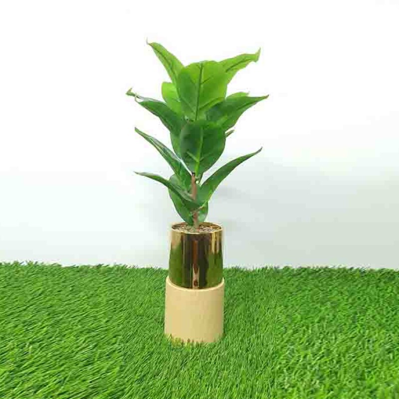 Artificial Plant A1 GM 80