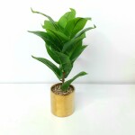 Artificial Plant A1 GM 80