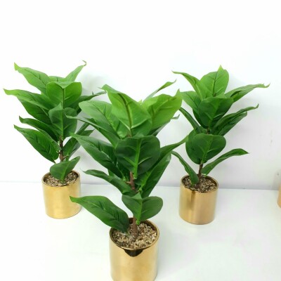 Artificial Plant A1 GM 80