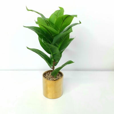 Artificial Plant A1 GM 80