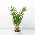 Artificial Plant A1 2586