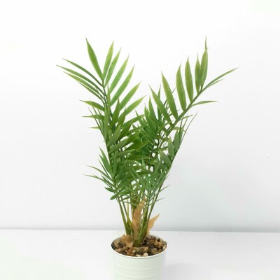 Artificial Plant A1 2586