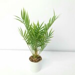 Artificial Plant A1 2586