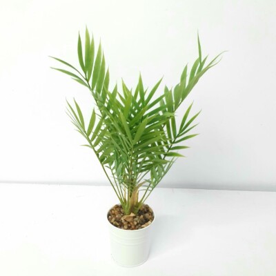 Artificial Plant A1 2586