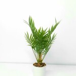 Artificial Plant A1 2586